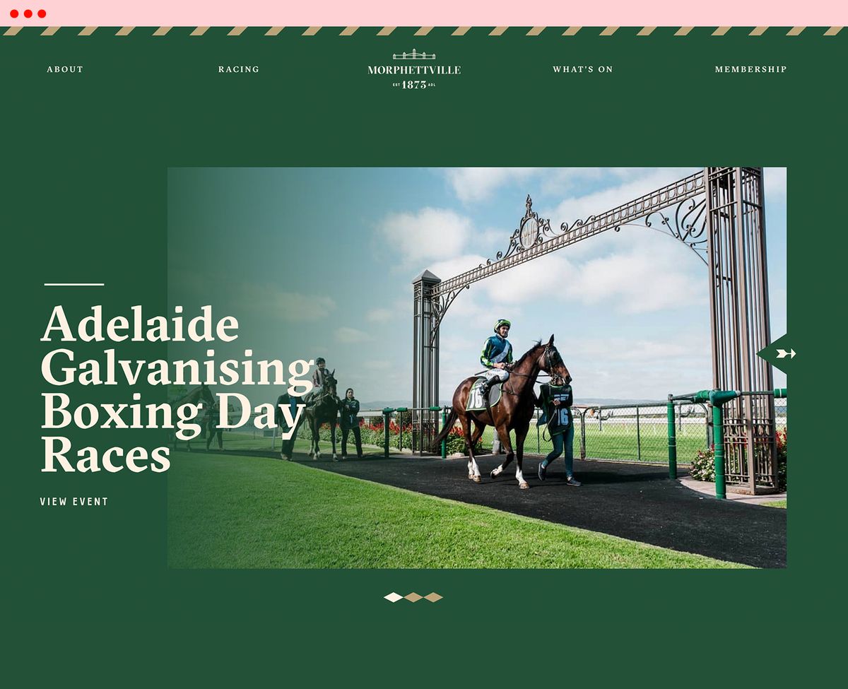 Thoroughbred Racing SA image